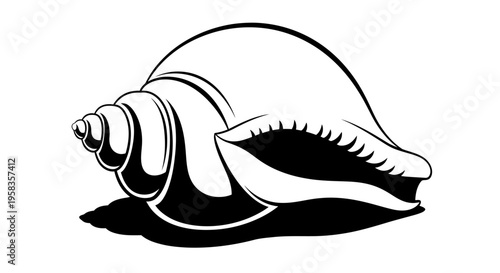 Stylized black and white illustration of a seashell.