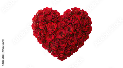 Heart shape made of vibrant red roses arranged beautifully on a plain white background object on white and png
