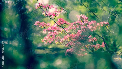 Schilderij op canvas Photo de fleurs prise dans un jardin