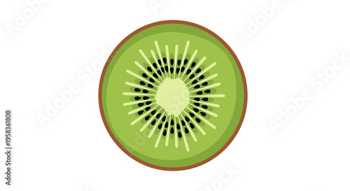 Slice of Fresh Kiwi Fruit with Seeds and Skin.