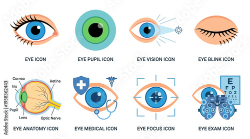 Vector illustrations of various eye icons and medical diagrams in a detailed visual representation