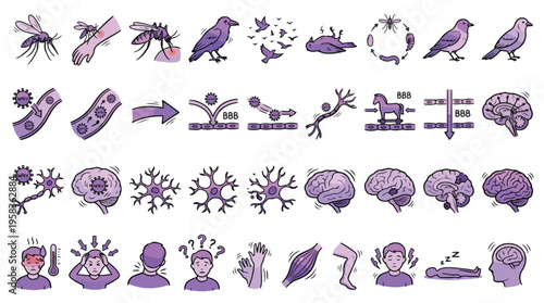 West Nile Virus Medical Icon Set in Hand-drawn Style. A collection of Pathology Linear Icons, including mosquito, bird, brain, fever, headache, neuron, and more. Vector Illustration.