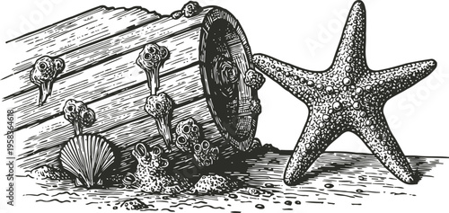 Starfish and seashells near old wooden barrel with barnacles underwater marine life illustration