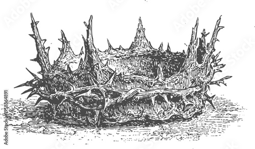 Intricate thorn crown drawing with detailed spikes and sharp barbs, vintage illustration of a symbolic headpiece