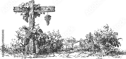 rustic vineyard gate with grapevine and wooden cross surrounded by bushes and plants