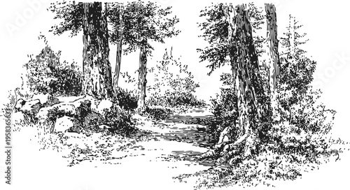 black and white sketch of a forest path surrounded by trees and bushes in natural scenery