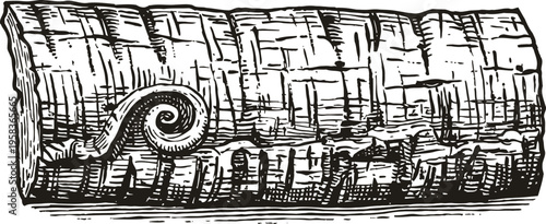 Old cork drawing detailed black and white engraved wine cork illustration with wood texture and spiral mark