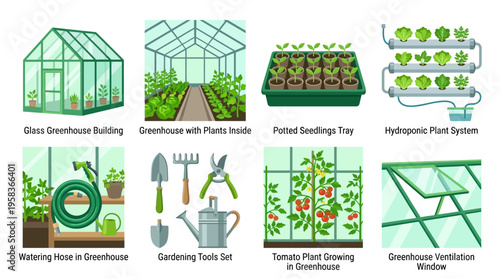 A vector illustration of a modern glass greenhouse building with various gardening tools and a hydroponic plant system showcasing tomato plants growing inside with a watering hose.