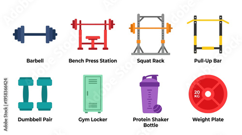 A vector illustration of various gym equipment arranged neatly including a barbell and dumbbell pair on the floor next to a gym locker.