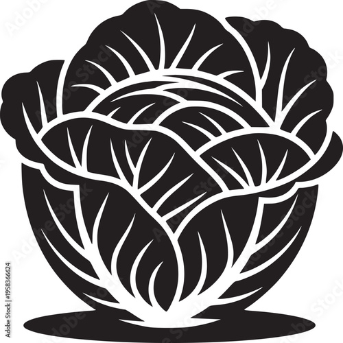 A minimalist black and white illustration of a head of cabbage with detailed leaf structure shown
