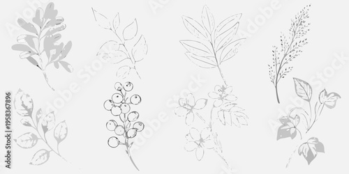 Delicate botanical sketches of various leaves berries and floral elements