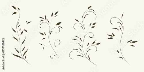 Elegant floral swirls and botanical line art on a neutral background