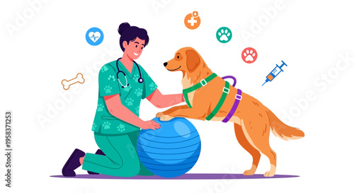 Veterinarian Training Golden Retriever Dog with Exercise Ball.