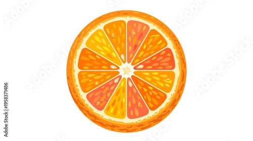 Vibrant Citrus Slice Illustration with Detailed Segments.