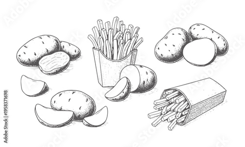 Hand drawn potatoes and french fries in paper containers food ingredient
