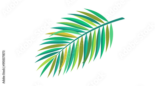 Vibrant Green Palm Frond Leaf Illustration on White Background.