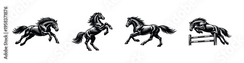 Dynamic black and white horse silhouettes vector illustrations for equine theme designs