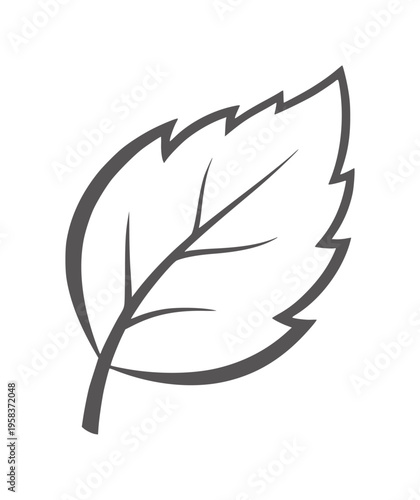 Simple dark gray leaf outline with serrated edges and veins