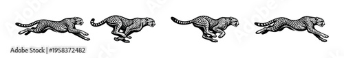 Running cheetah silhouettes vector illustration animal motion graphic design