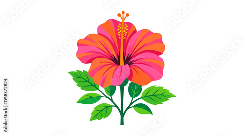Vibrant Pink and Orange Hibiscus Flower Illustration.