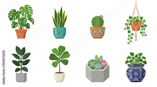 Vector illustration of various potted plants and succulents arranged on a table indoors with a lively atmosphere.