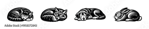 Black and white silhouette of sleeping animals including cat dog fox bunny illustration