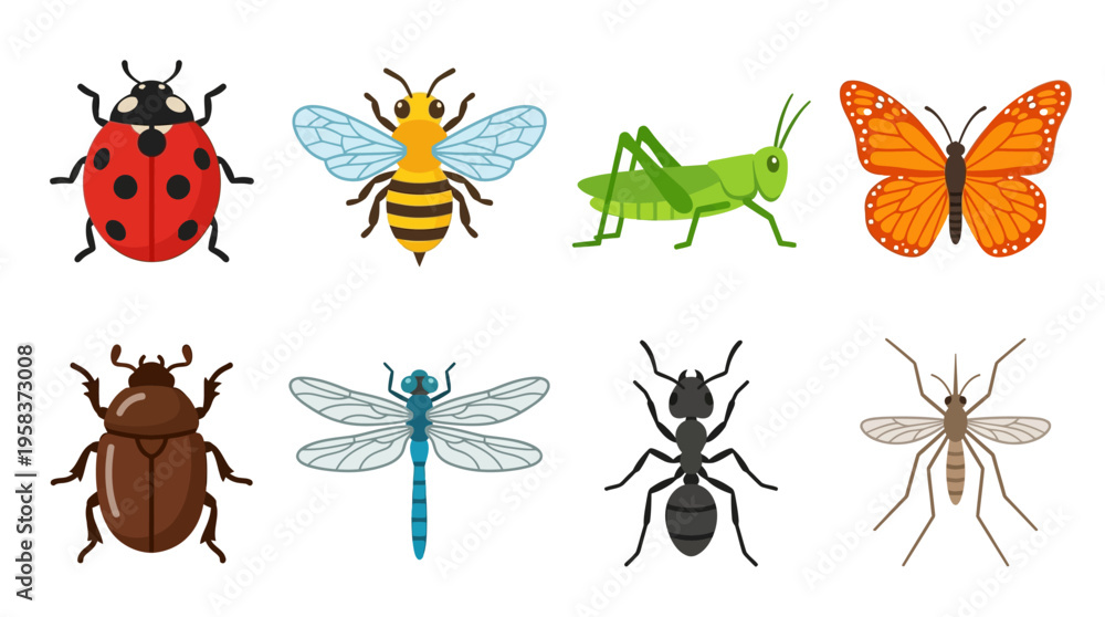 Obraz premium Vector illustration of various insects including ladybug, bee, grasshopper, butterfly, beetle, dragonfly, ant, and fly in a single composition
