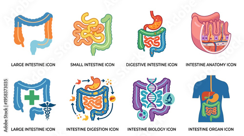 The vector illustration displays various icons of the digestive system, including intestines, organs, and biology, for educational purposes in a medical context.