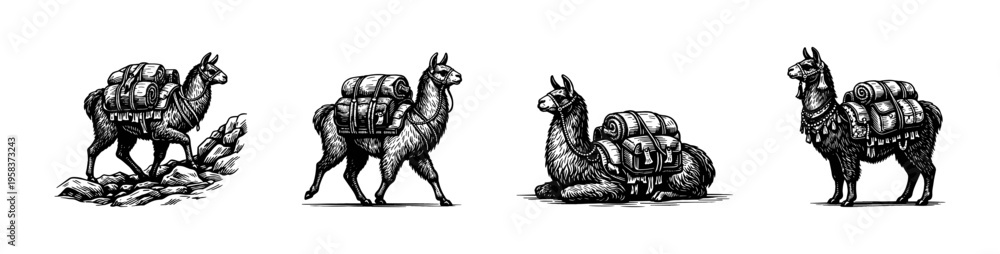 Naklejka premium Black and white vector illustration of llamas with backpacks in various poses