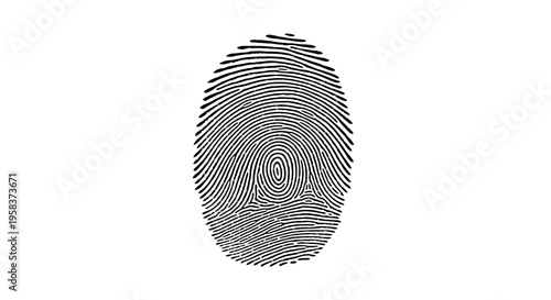 Close-up of a black fingerprint on a white background, identity concept