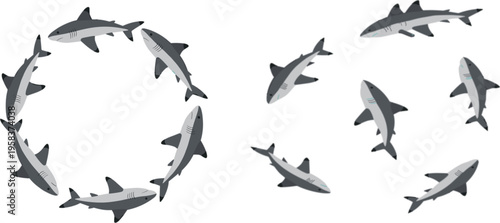 Grey reef shark vector set featuring a circular school of sharks and a scattered group swimming in various directions