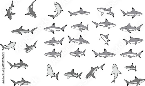 set of grey reef sharks in diverse swimming poses including side profile top down and dynamic angles illustration