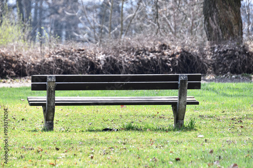 A wooden bench stands in a quiet park, surrounded by grass, bare trees, and dry foliage in the background.