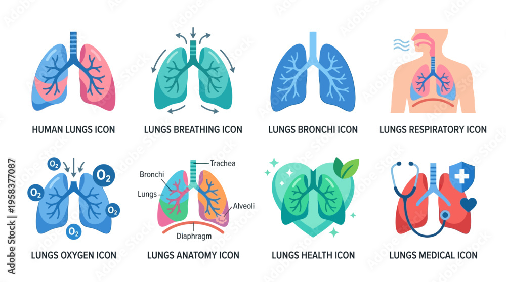 Fototapeta premium Vector illustrations of lungs with bronchus and respiratory system in various colorful medical icons for health and anatomy education.