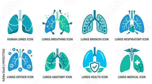 Vector illustrations of human lungs in various medical and anatomical designs for health and educational purposes in a vector format for easy editing.