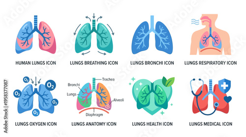 Vector illustrations of lungs with bronchus and respiratory system in various colorful medical icons for health and anatomy education.