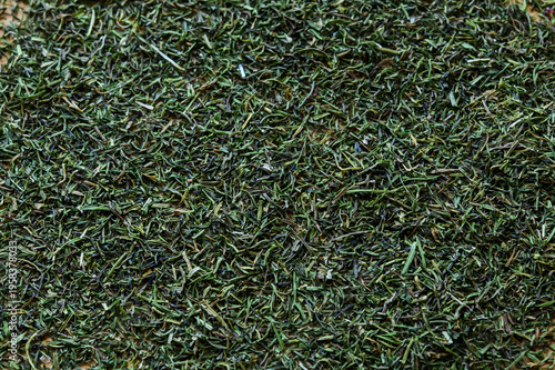 Εκτύπωση καμβά dried dill on the table