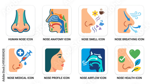 Vector illustrations of various nose icons showcasing human noses in different scenarios and emotions with people and health.