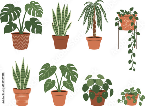 Vector Illustration Set of Potted Houseplants Featuring Monstera Deliciosa, Snake Plant, Palm, Pilea, and Trailing Ivy for Interior Design Decor