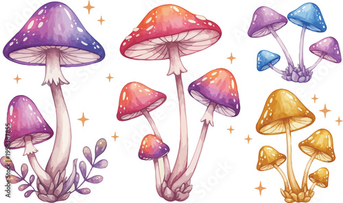 Colorful illustration of various mushroom species in purple pink orange and blue hues on white background