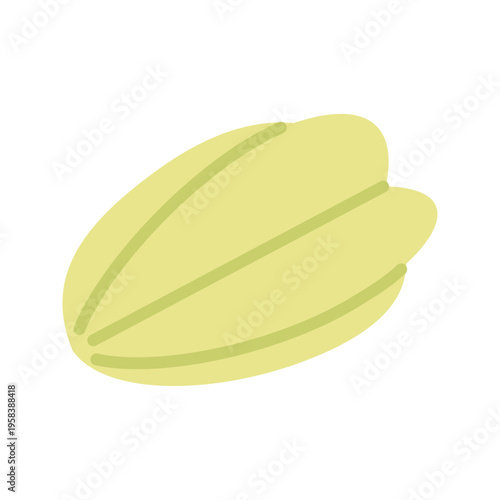 スターフルーツのシンプルなカラーイラスト