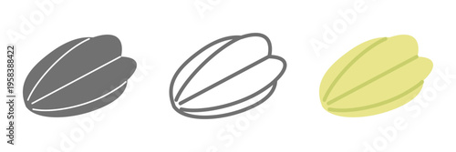 スターフルーツのイラストセット 白黒 線画 カラー