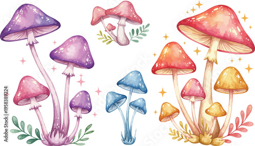 Colorful illustration of various mushroom species in watercolor style on white background