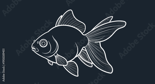 Elegant white outline of a fancy goldfish swimming against a dark background