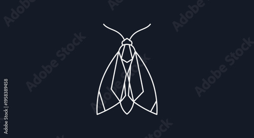 Geometric moth illustration minimal white lines on dark blue background modern art design