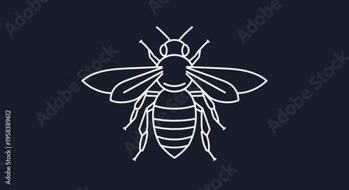 Minimalist white bee line art illustration on a dark navy blue background