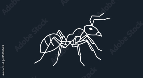 Minimalist white ant illustration on a dark blue background vector line art