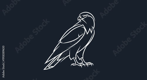 Minimalist white falcon outline illustration on a dark blue background for design purposes