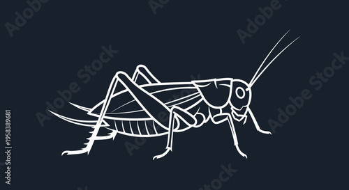 Minimalist white line art illustration of a cricket against a dark background