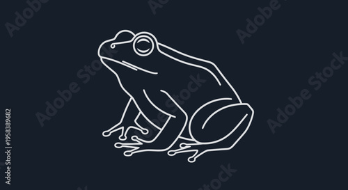 Minimalist white line art illustration of a frog against a dark navy blue background